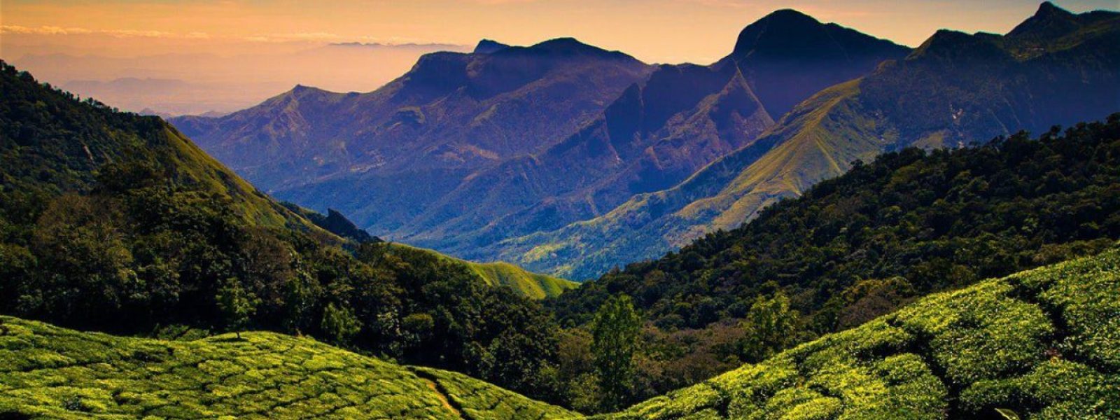 Nilgiris